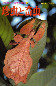 珍虫と奇虫