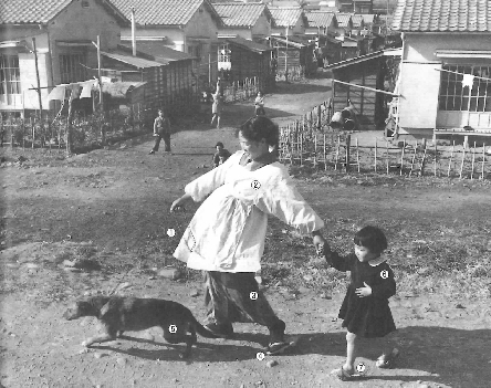 県営住宅らしい風景