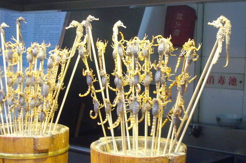 タツノオトシゴとサソリの串